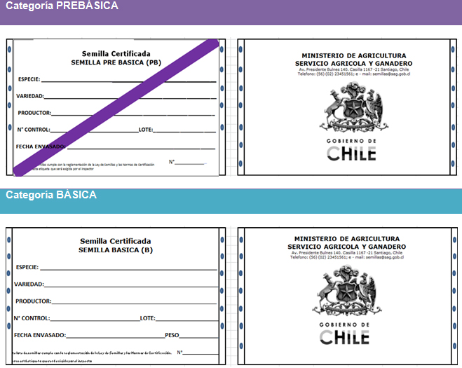 Certificacion categoria