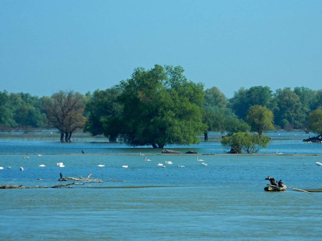 Delta danubio