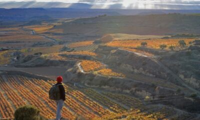 La rioja