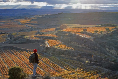 La rioja