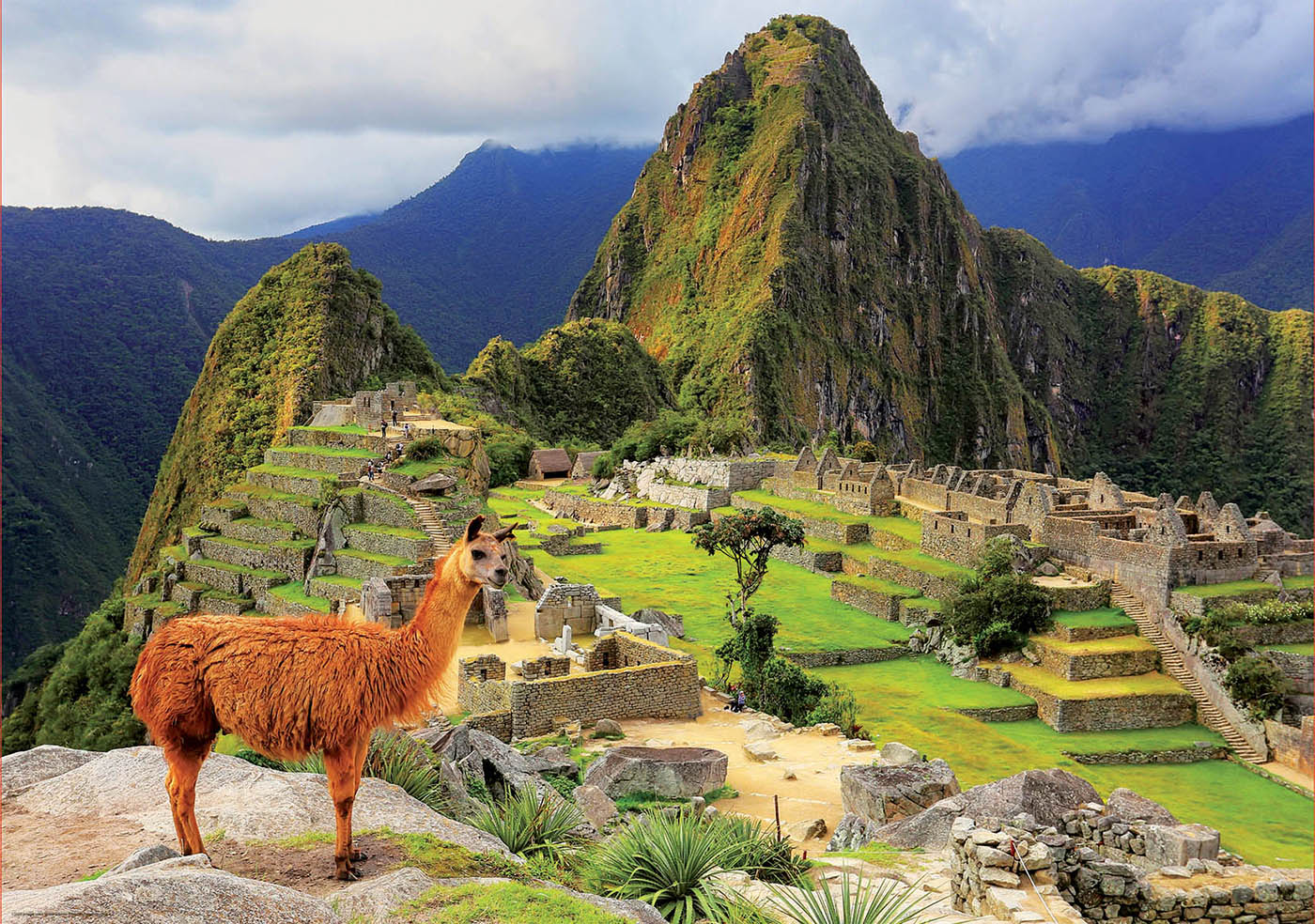 Machu picchu