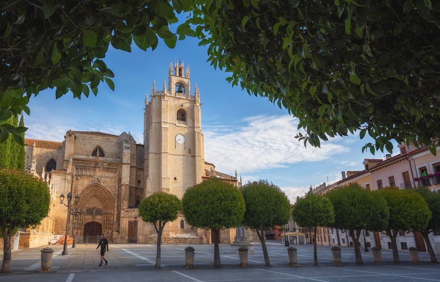 Palencia ciudad