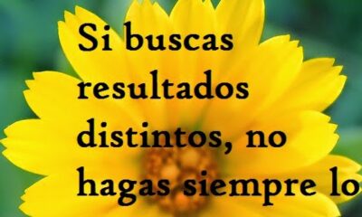 Si buscas