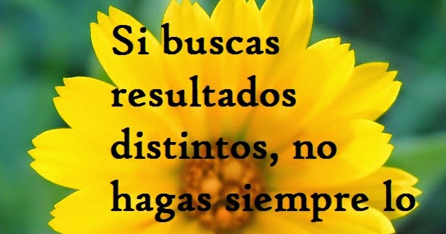 Si buscas